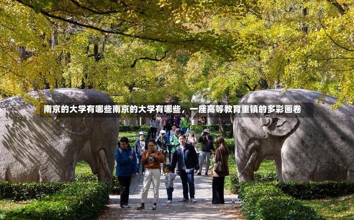 南京的大学有哪些南京的大学有哪些，一座高等教育重镇的多彩画卷-第3张图片-通任唐游戏