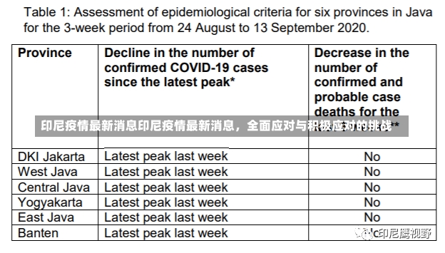 印尼疫情最新消息印尼疫情最新消息，全面应对与积极应对的挑战-第1张图片-通任唐游戏