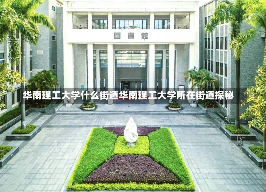 华南理工大学什么街道华南理工大学所在街道探秘-第1张图片-通任唐游戏