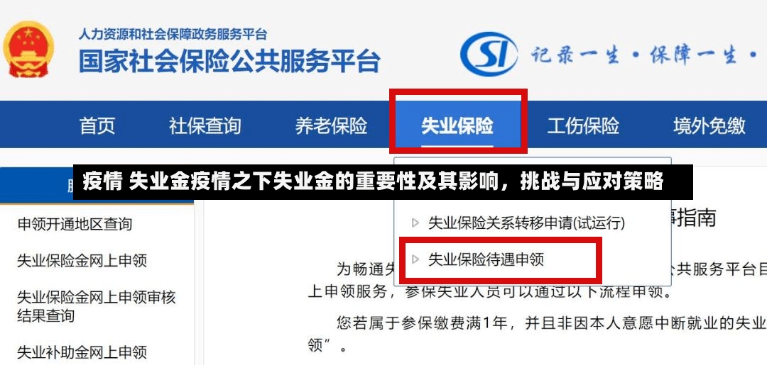 疫情 失业金疫情之下失业金的重要性及其影响，挑战与应对策略-第1张图片-通任唐游戏