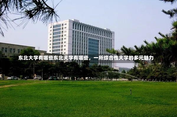 东北大学有哪些东北大学有哪些，一所综合性大学的多元魅力-第2张图片-通任唐游戏