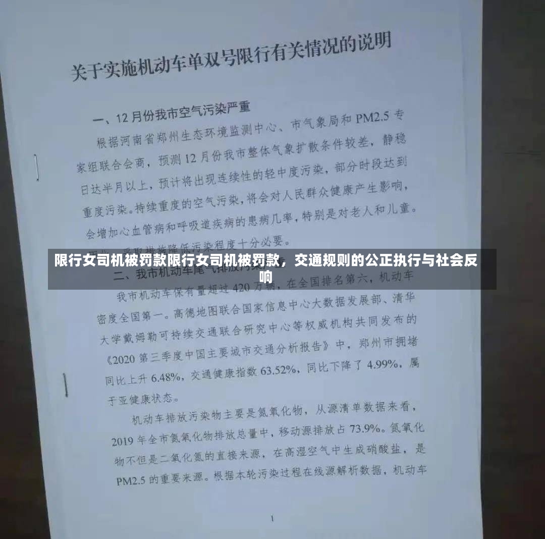 限行女司机被罚款限行女司机被罚款，交通规则的公正执行与社会反响-第1张图片-通任唐游戏