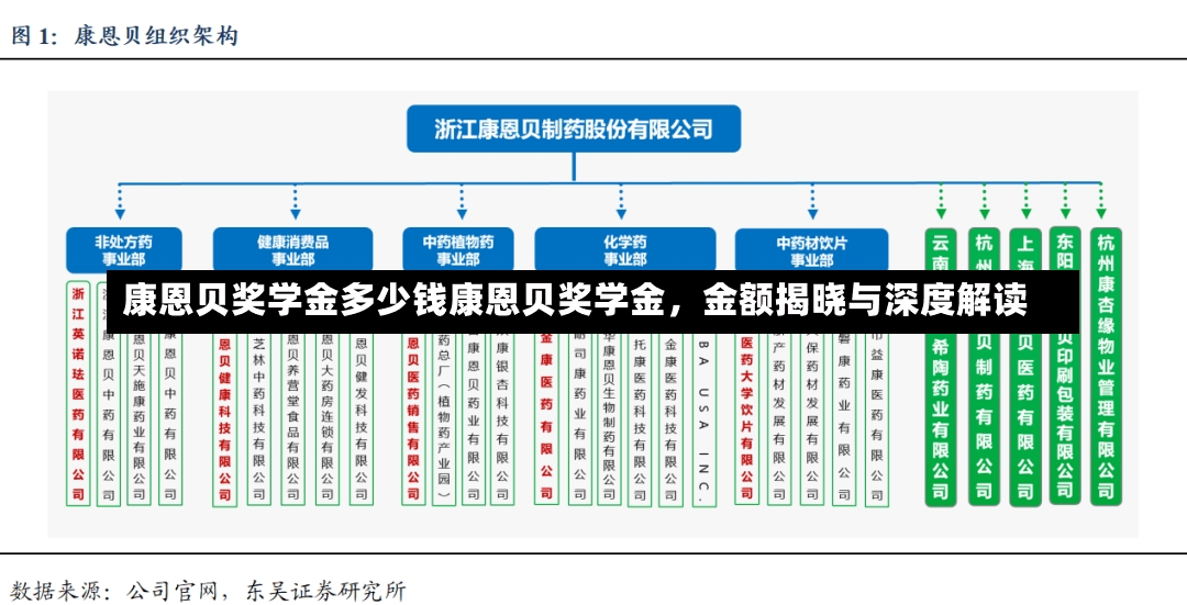 康恩贝奖学金多少钱康恩贝奖学金，金额揭晓与深度解读-第3张图片-通任唐游戏