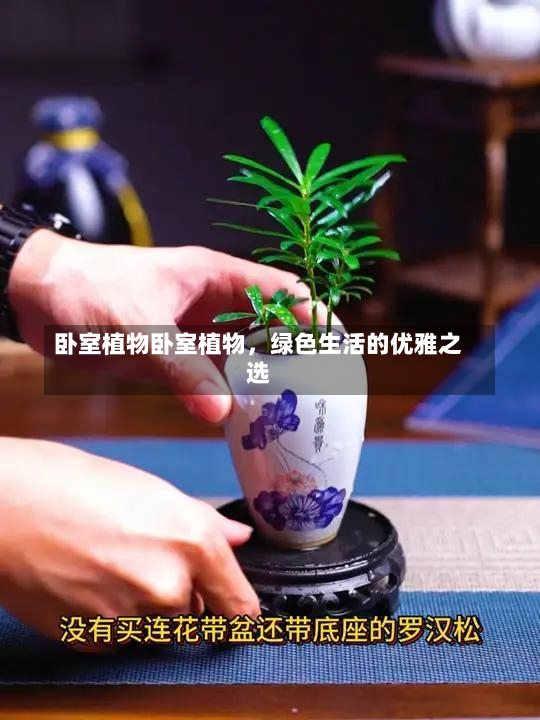 卧室植物卧室植物，绿色生活的优雅之选-第2张图片-通任唐游戏