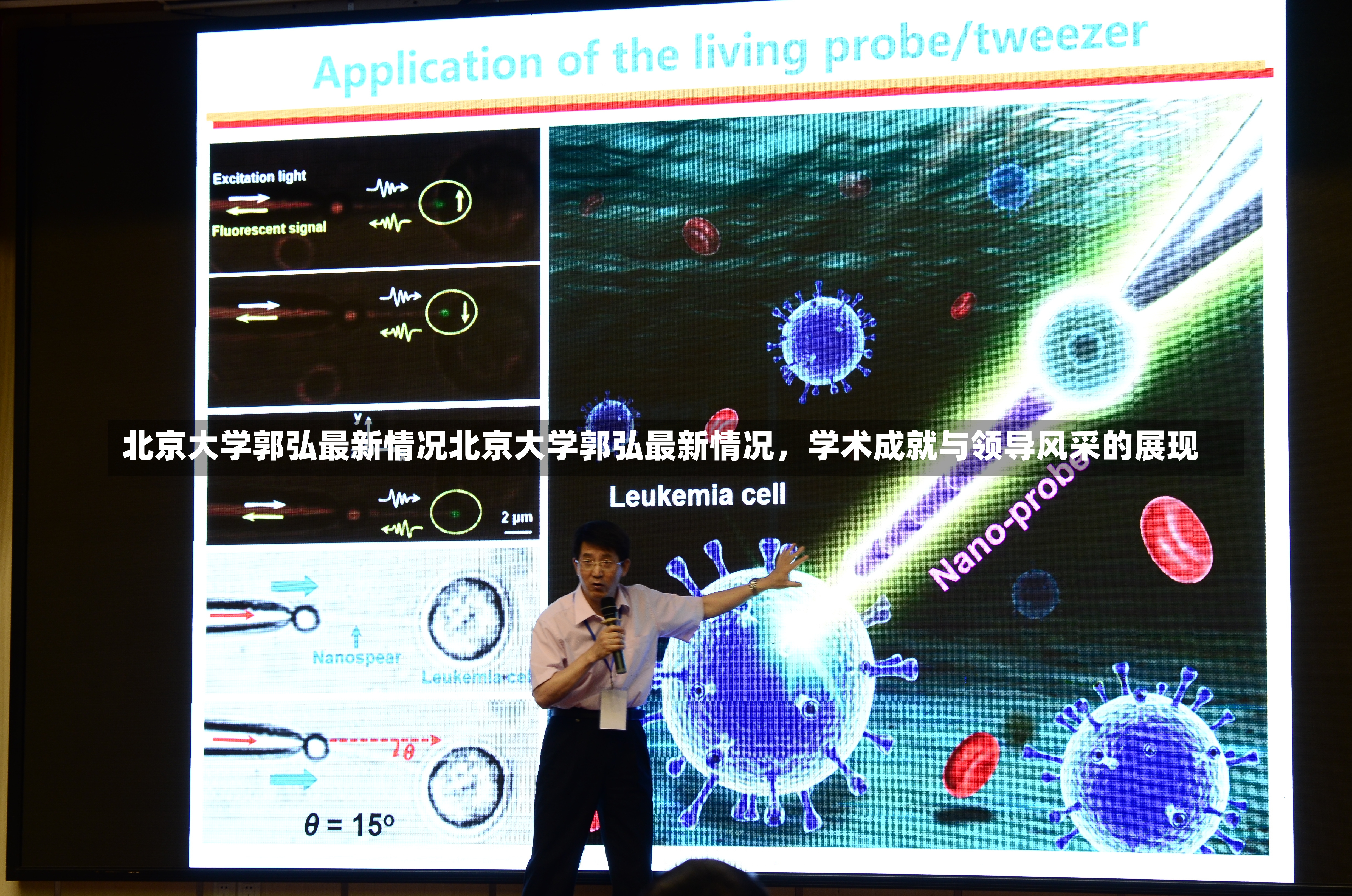 北京大学郭弘最新情况北京大学郭弘最新情况，学术成就与领导风采的展现-第1张图片-通任唐游戏