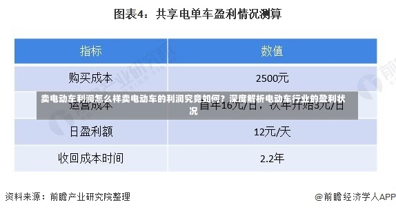 卖电动车利润怎么样卖电动车的利润究竟如何？深度解析电动车行业的盈利状况-第2张图片-通任唐游戏