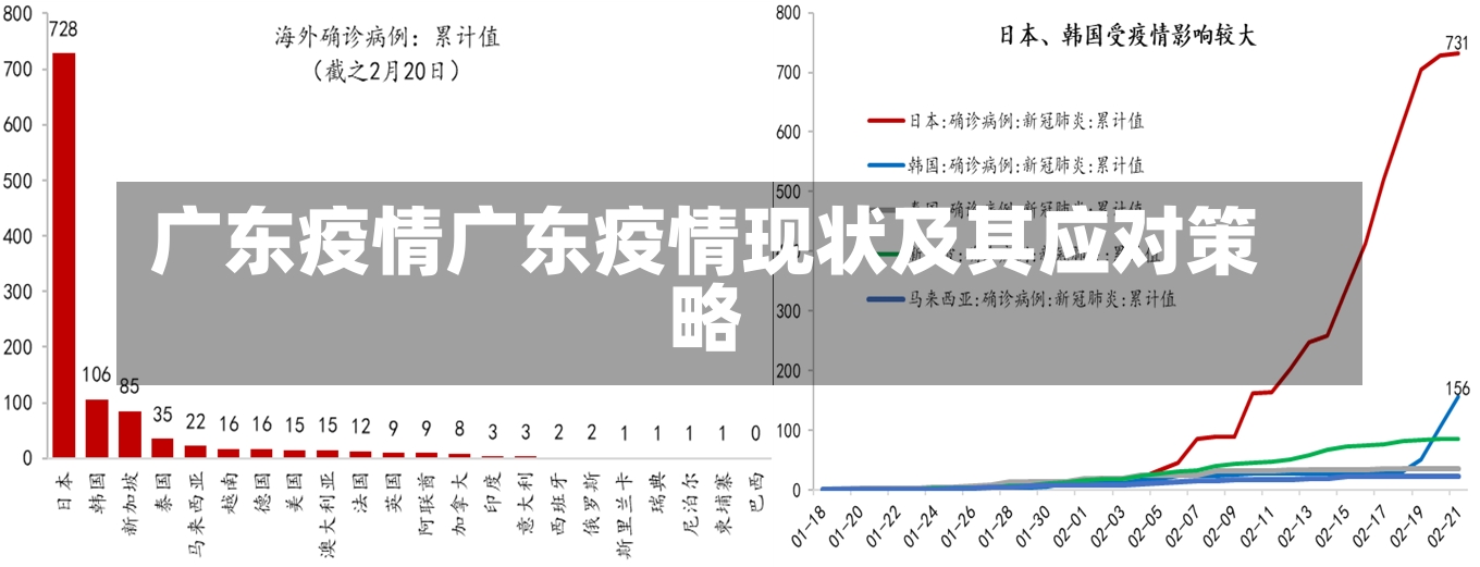 广东疫情广东疫情现状及其应对策略-第2张图片-通任唐游戏