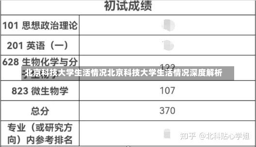 北京科技大学生活情况北京科技大学生活情况深度解析-第2张图片-通任唐游戏