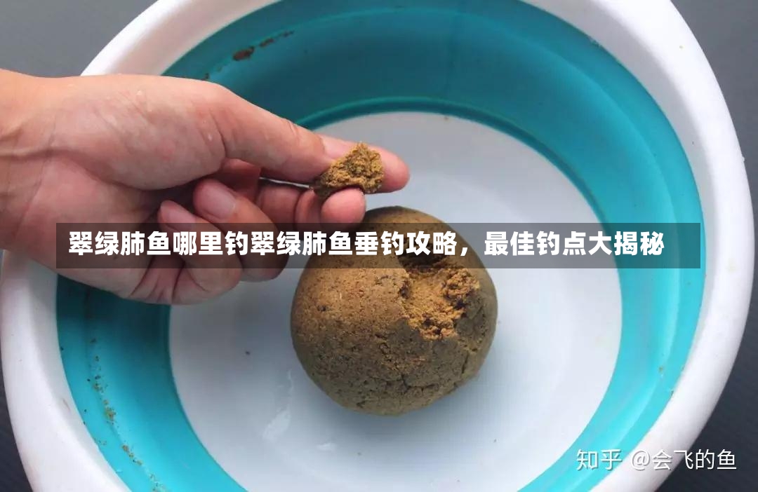 翠绿肺鱼哪里钓翠绿肺鱼垂钓攻略，最佳钓点大揭秘-第2张图片-通任唐游戏