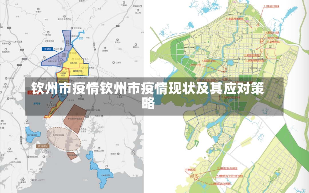 钦州市疫情钦州市疫情现状及其应对策略-第1张图片-通任唐游戏