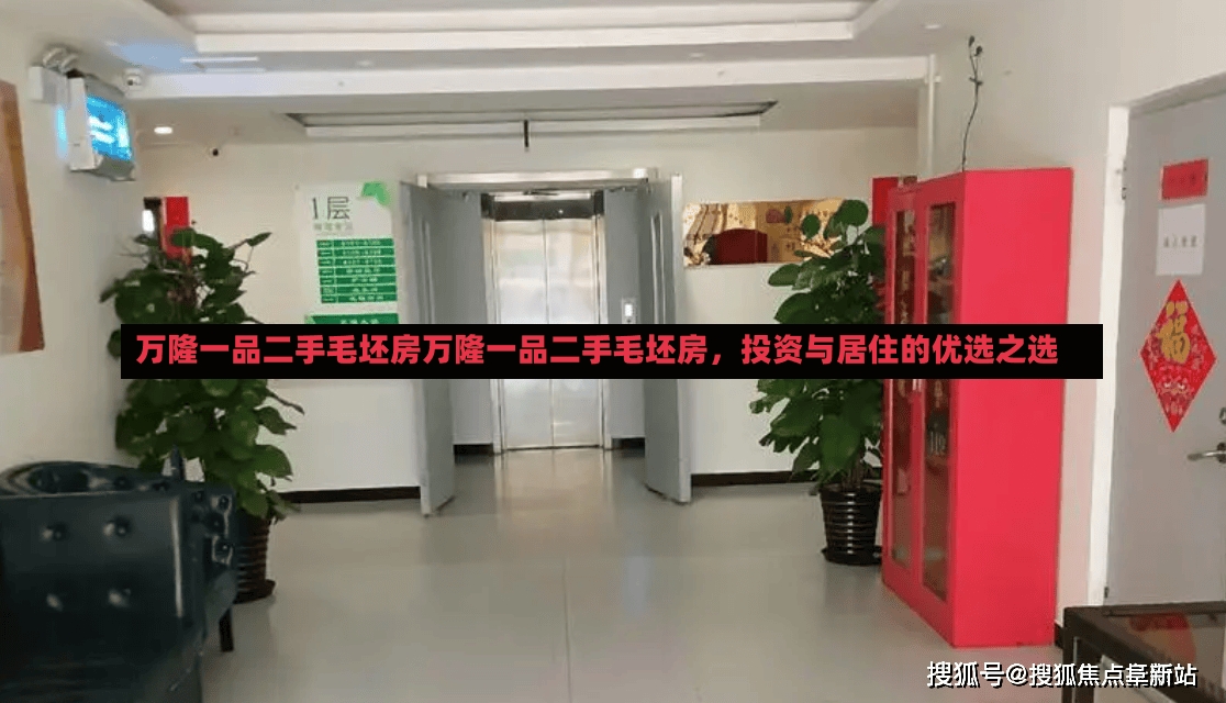 万隆一品二手毛坯房万隆一品二手毛坯房，投资与居住的优选之选-第1张图片-通任唐游戏