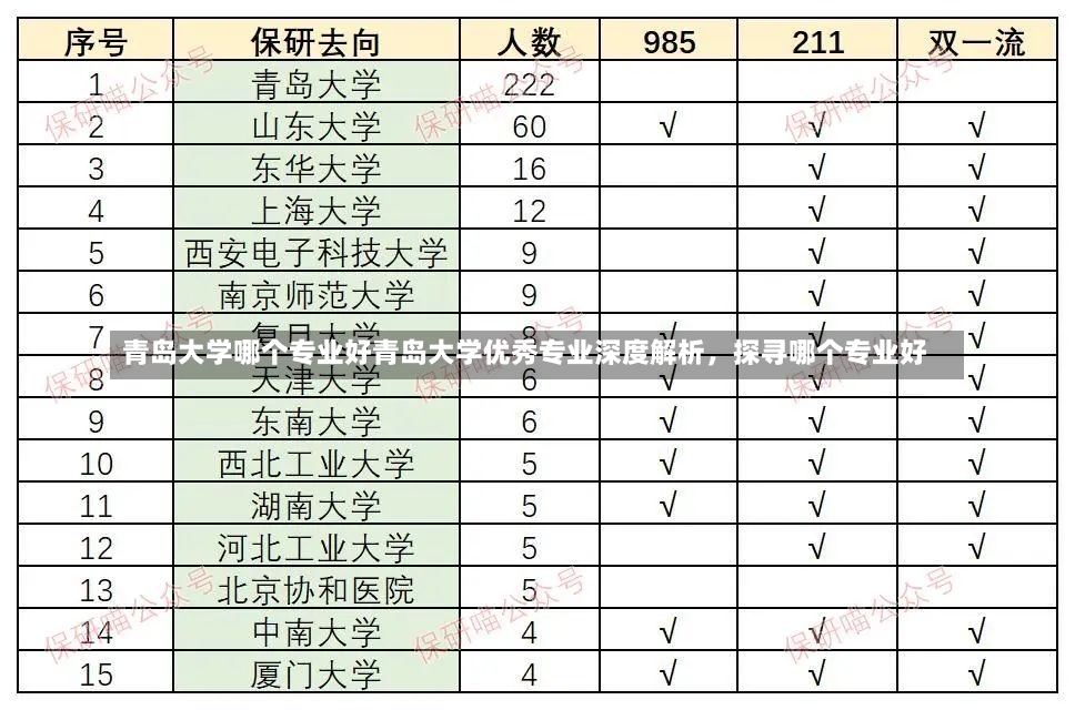 青岛大学哪个专业好青岛大学优秀专业深度解析，探寻哪个专业好-第1张图片-通任唐游戏