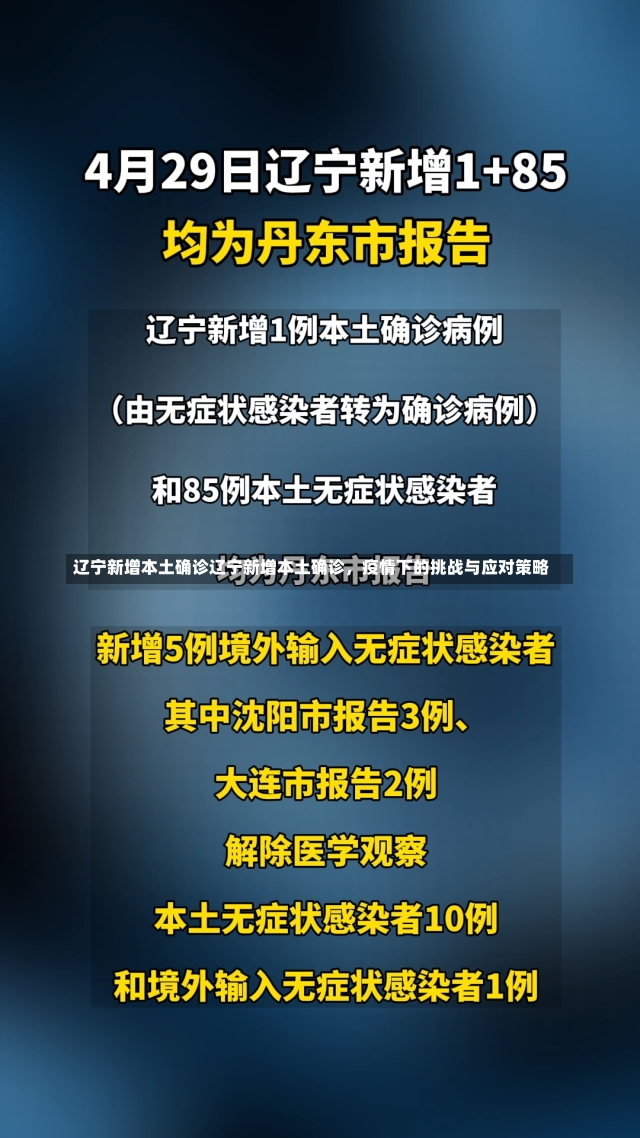 辽宁新增本土确诊辽宁新增本土确诊，疫情下的挑战与应对策略-第1张图片-通任唐游戏