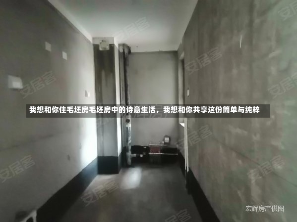 我想和你住毛坯房毛坯房中的诗意生活，我想和你共享这份简单与纯粹-第2张图片-通任唐游戏