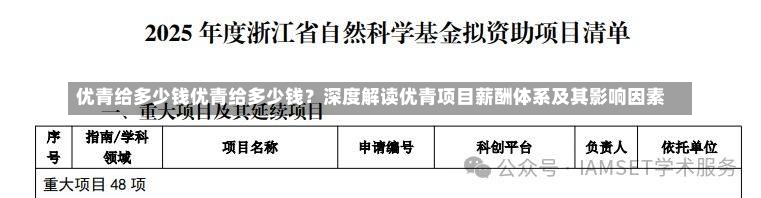 优青给多少钱优青给多少钱？深度解读优青项目薪酬体系及其影响因素-第2张图片-通任唐游戏