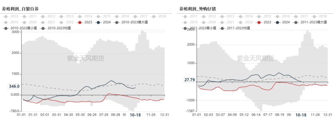 云评论 | 玉米：一点寒芒先到-第7张图片-通任唐游戏